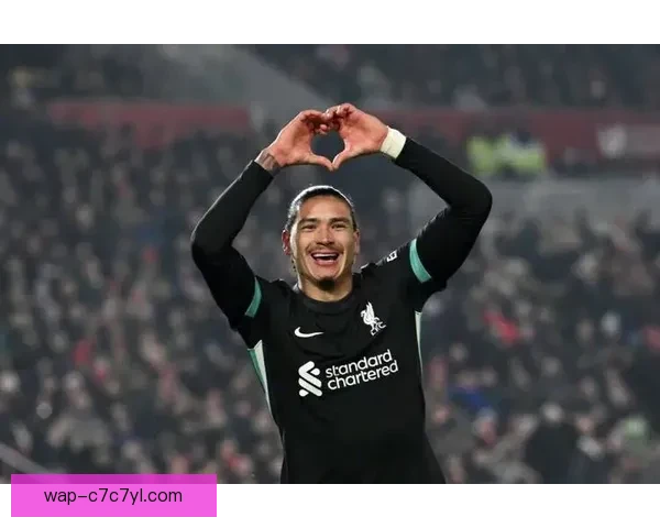 努涅斯无球可踢何去何从生涯路